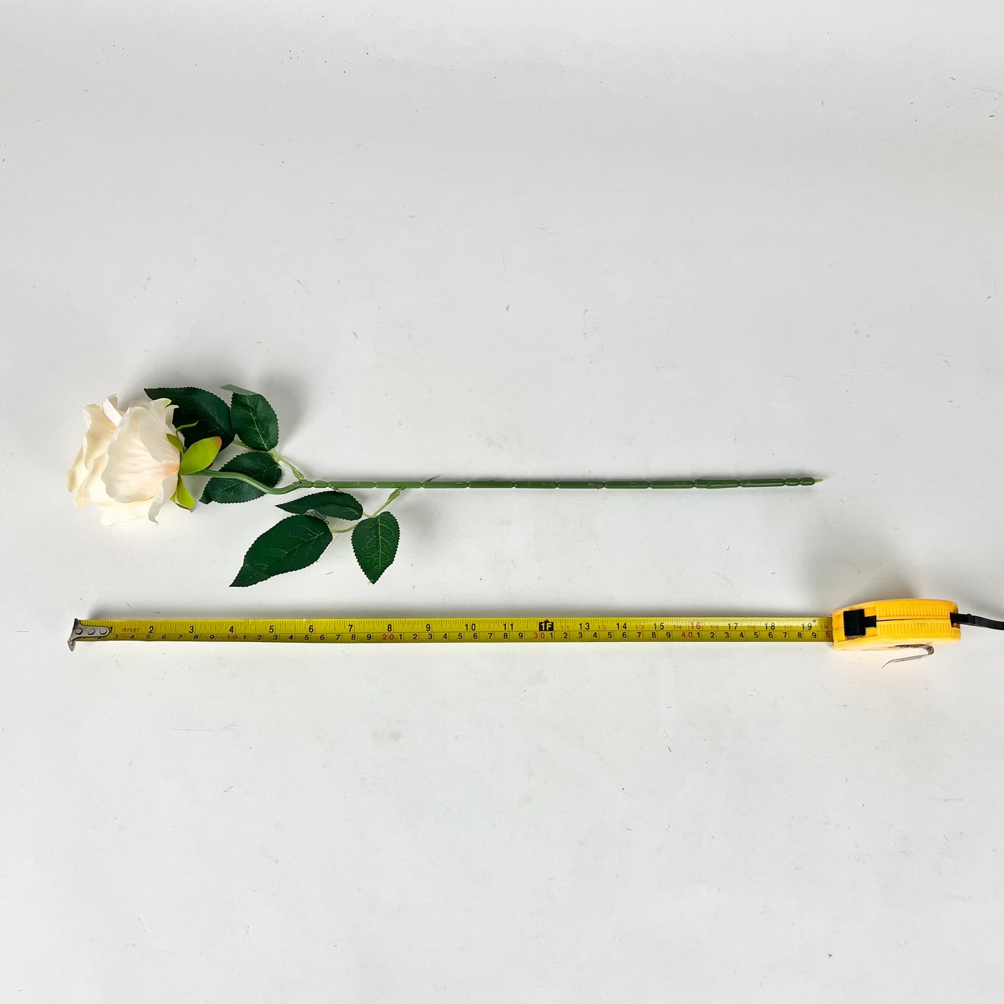 0047-19 Single rose