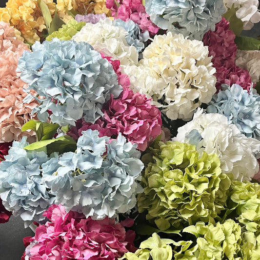 Hydrangea 0108-AA002