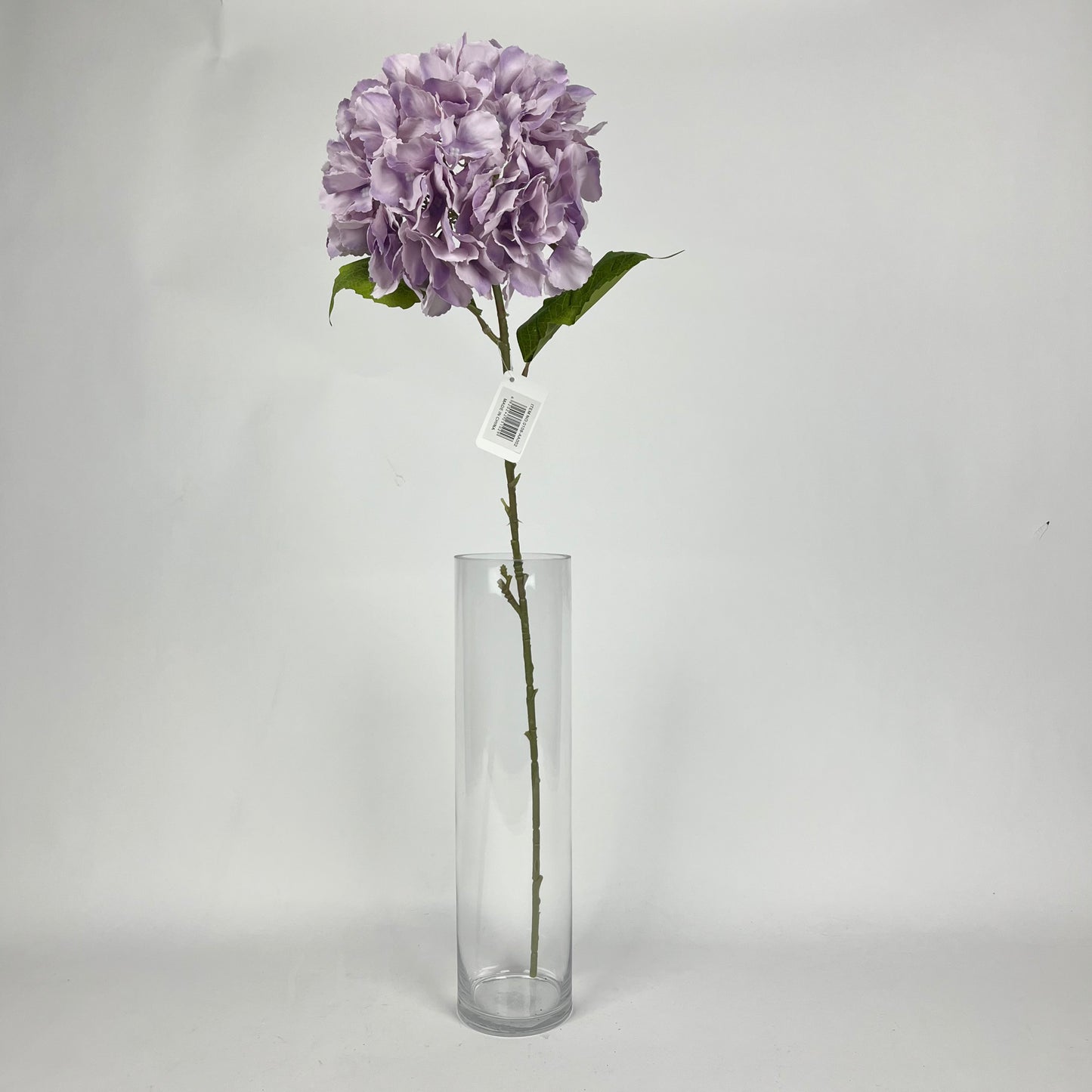 Hydrangea 0108-AA002