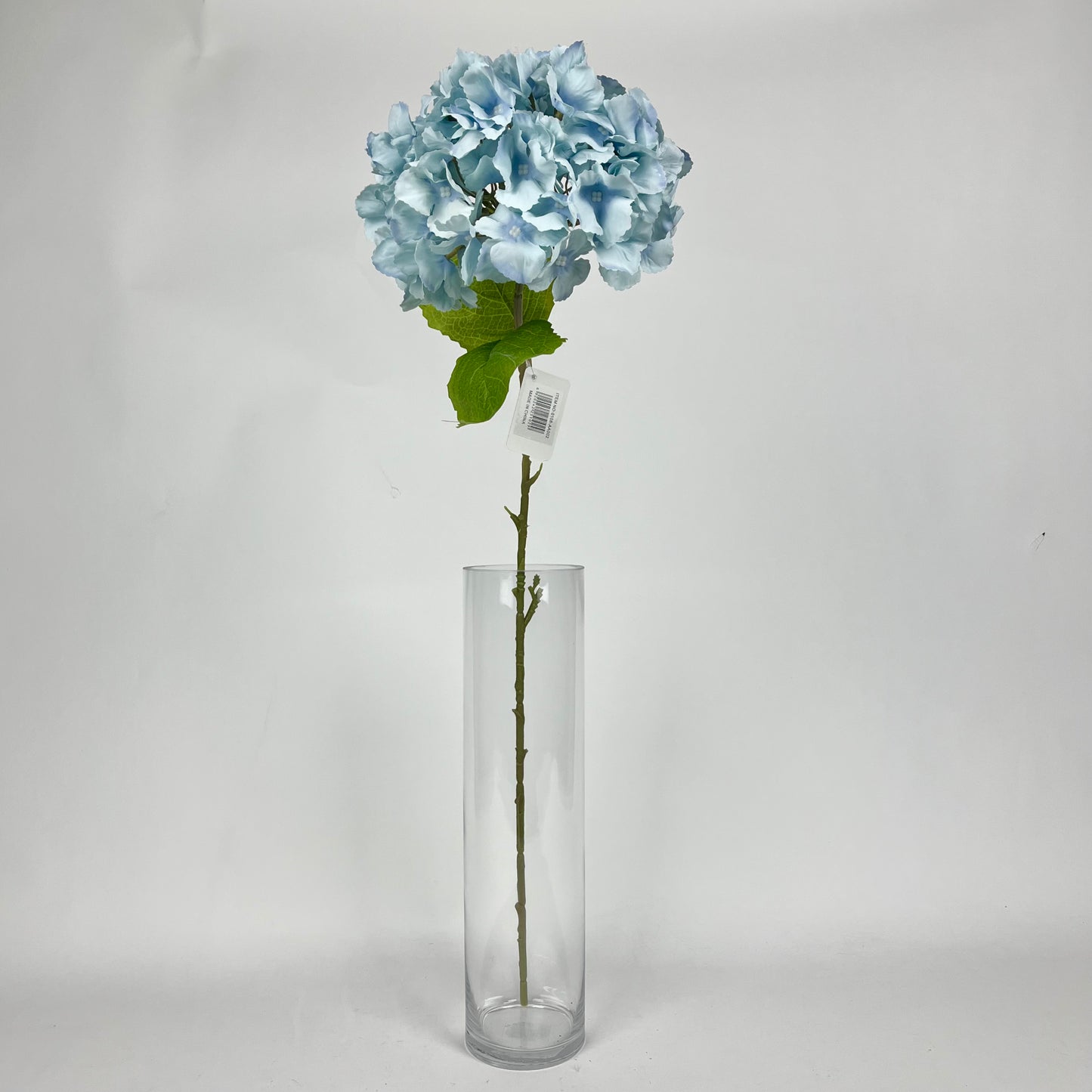 Hydrangea 0108-AA002