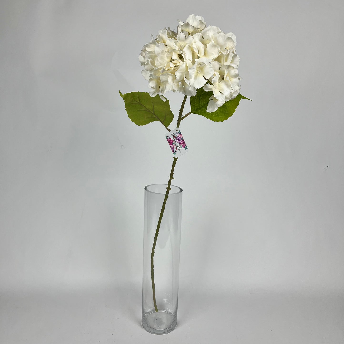 Hydrangea 0108-AA002