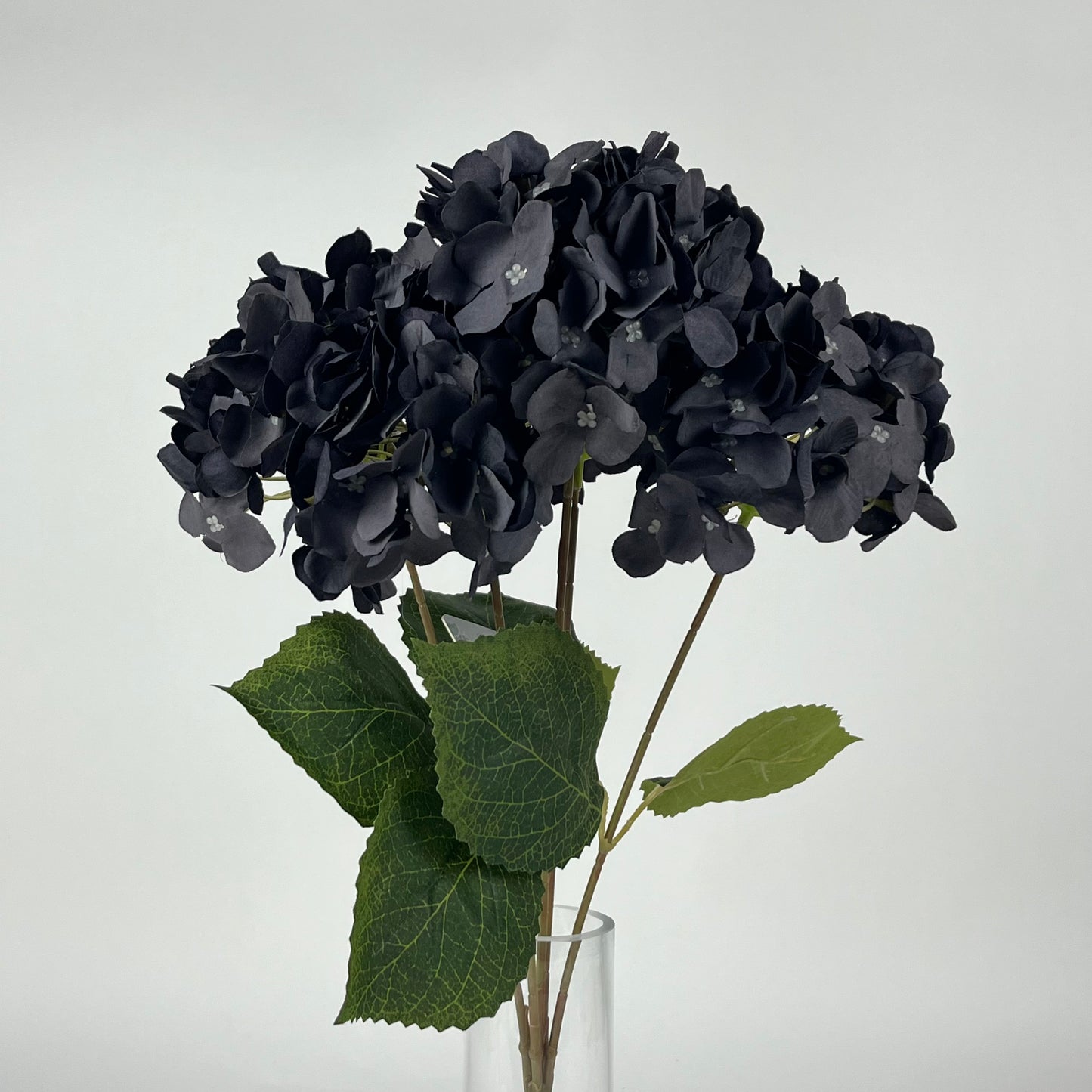 0047-15 Hydrangea