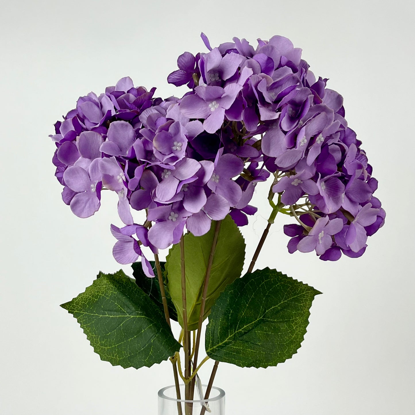 0047-15 Hydrangea