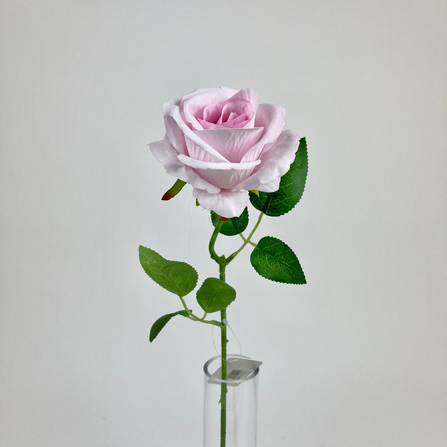 0047-11 rose