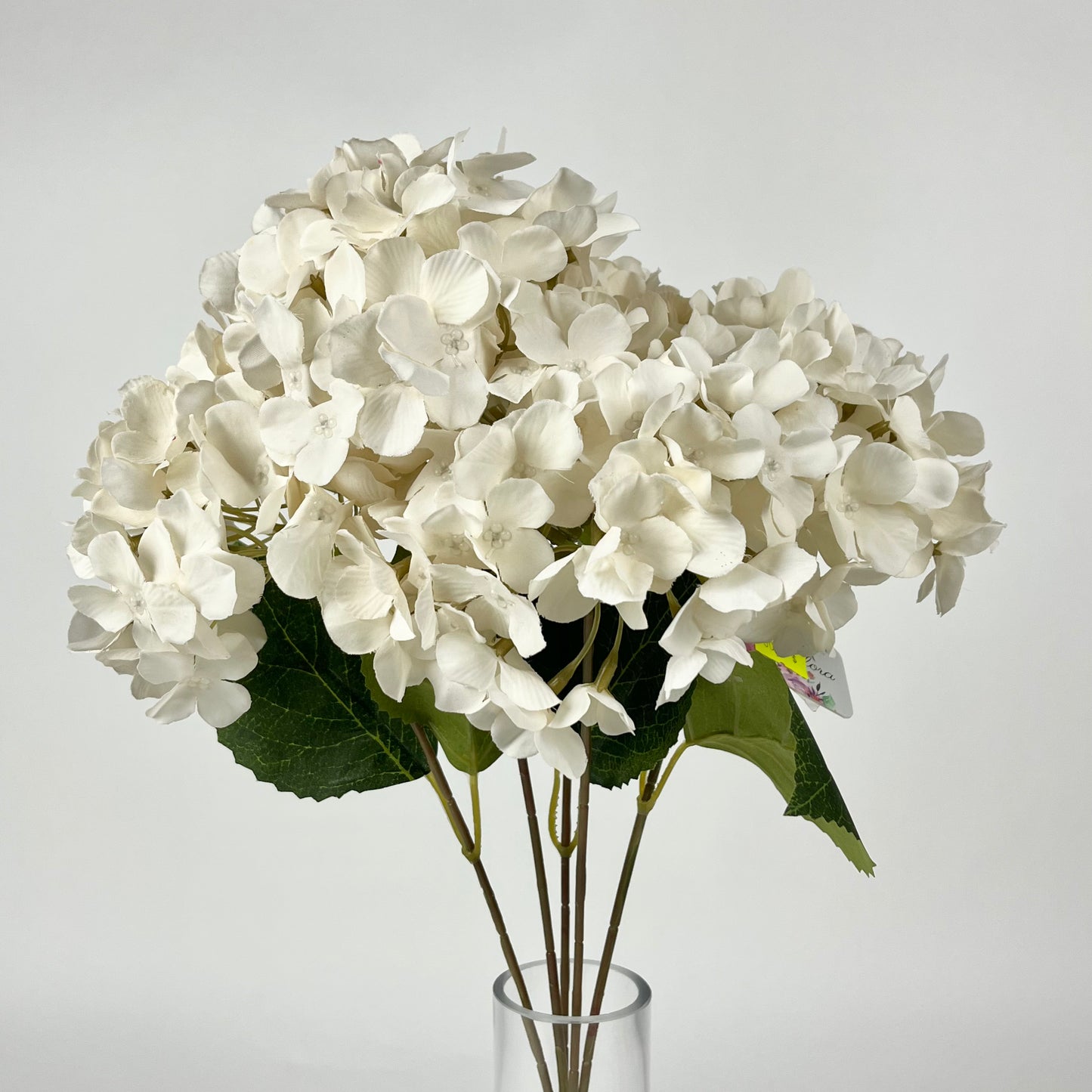 0047-15 Hydrangea