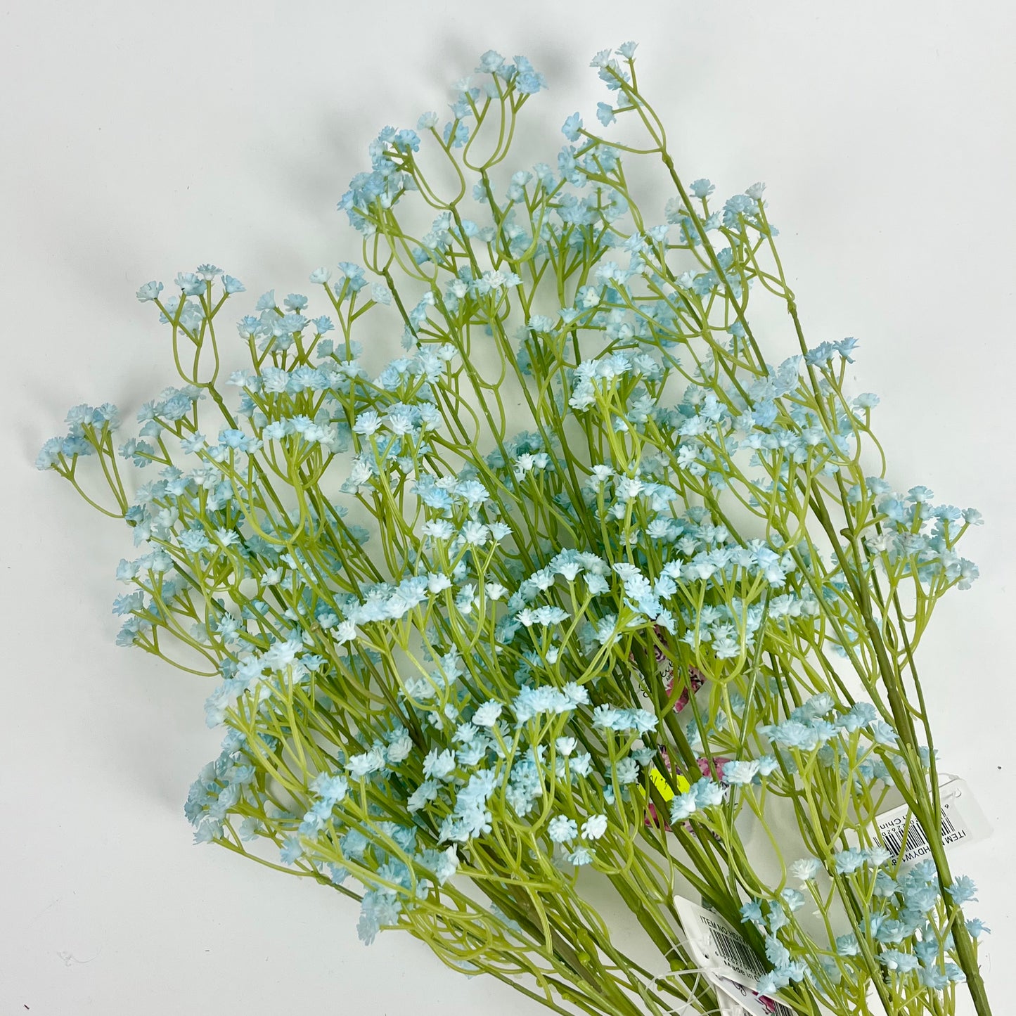 HDYW1189 baby’s breath