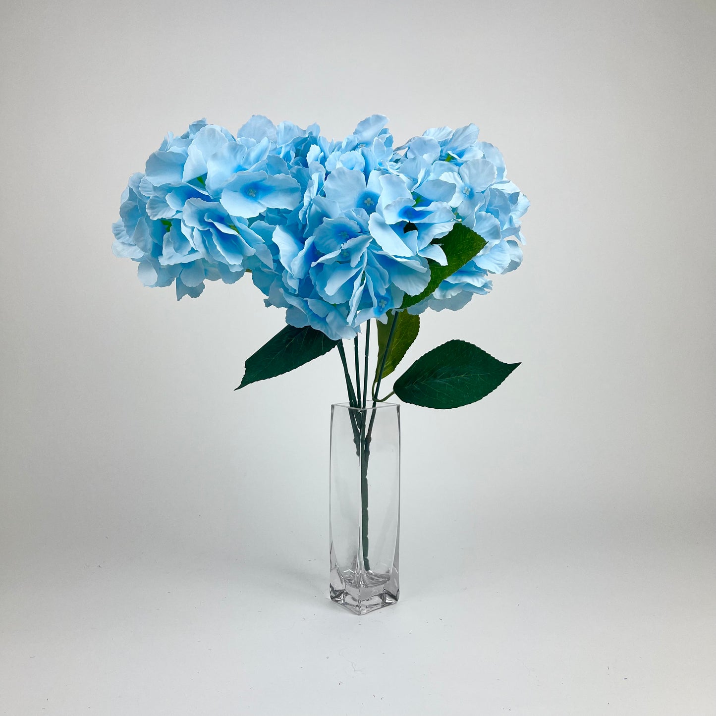 0047-5 Hydrangea