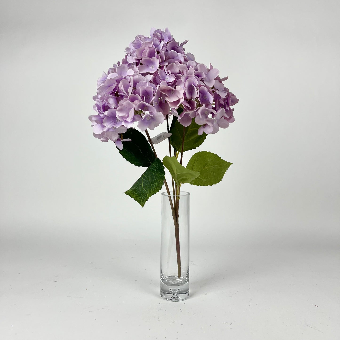 0047-15 Hydrangea