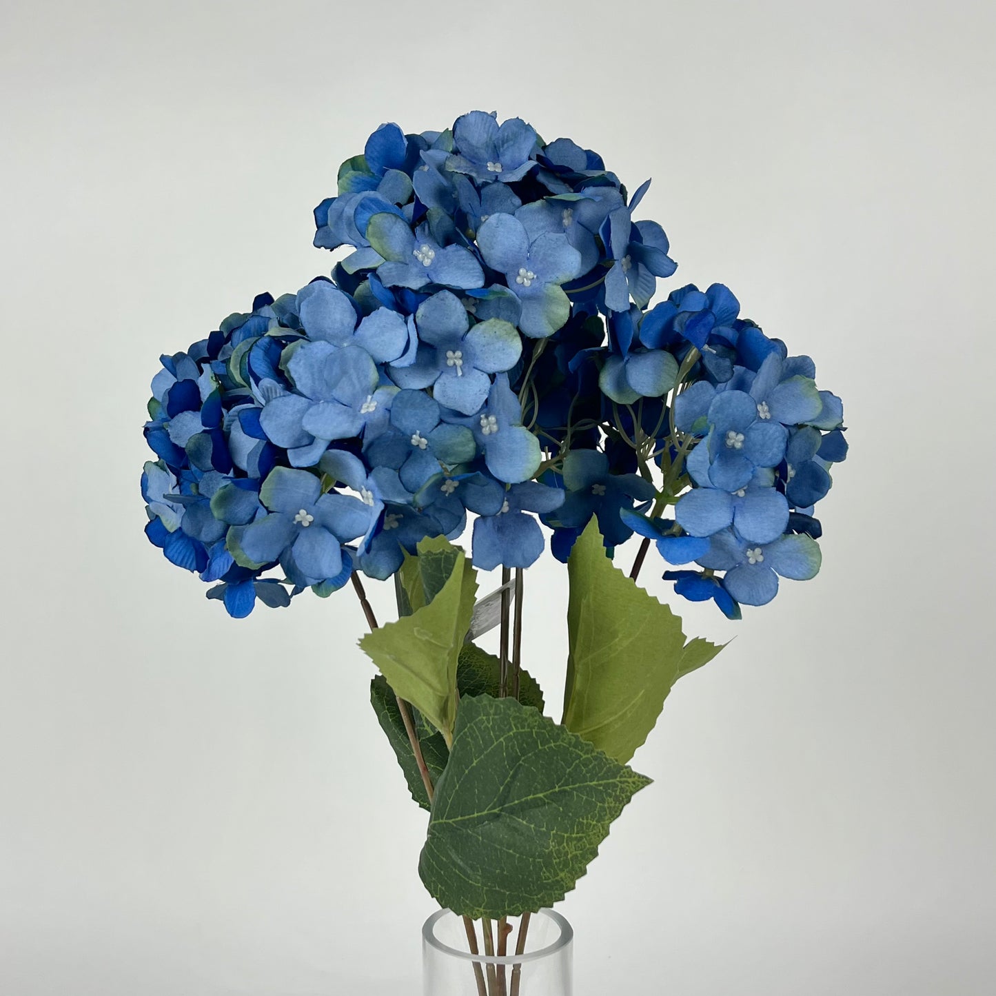 0047-15 Hydrangea