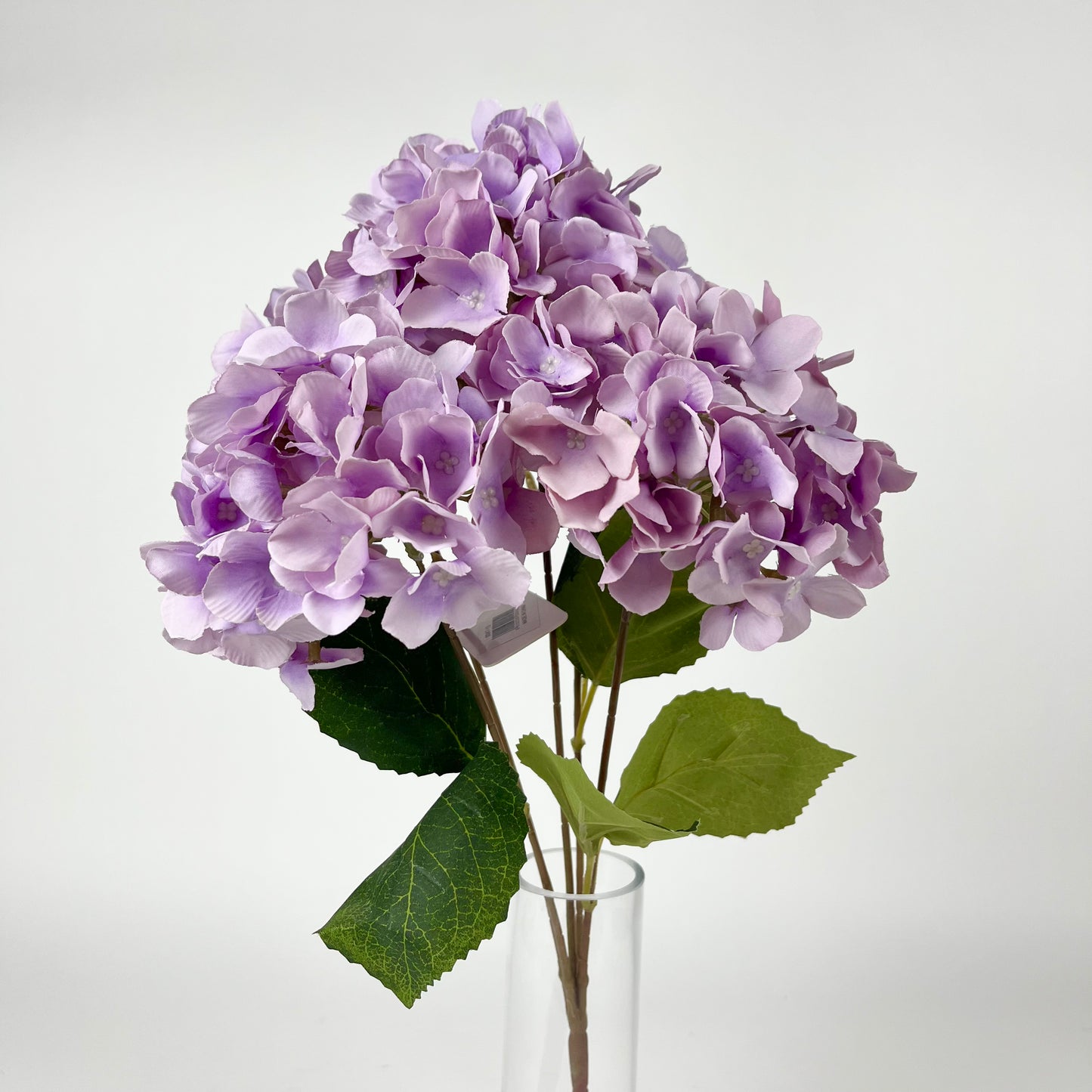 0047-15 Hydrangea