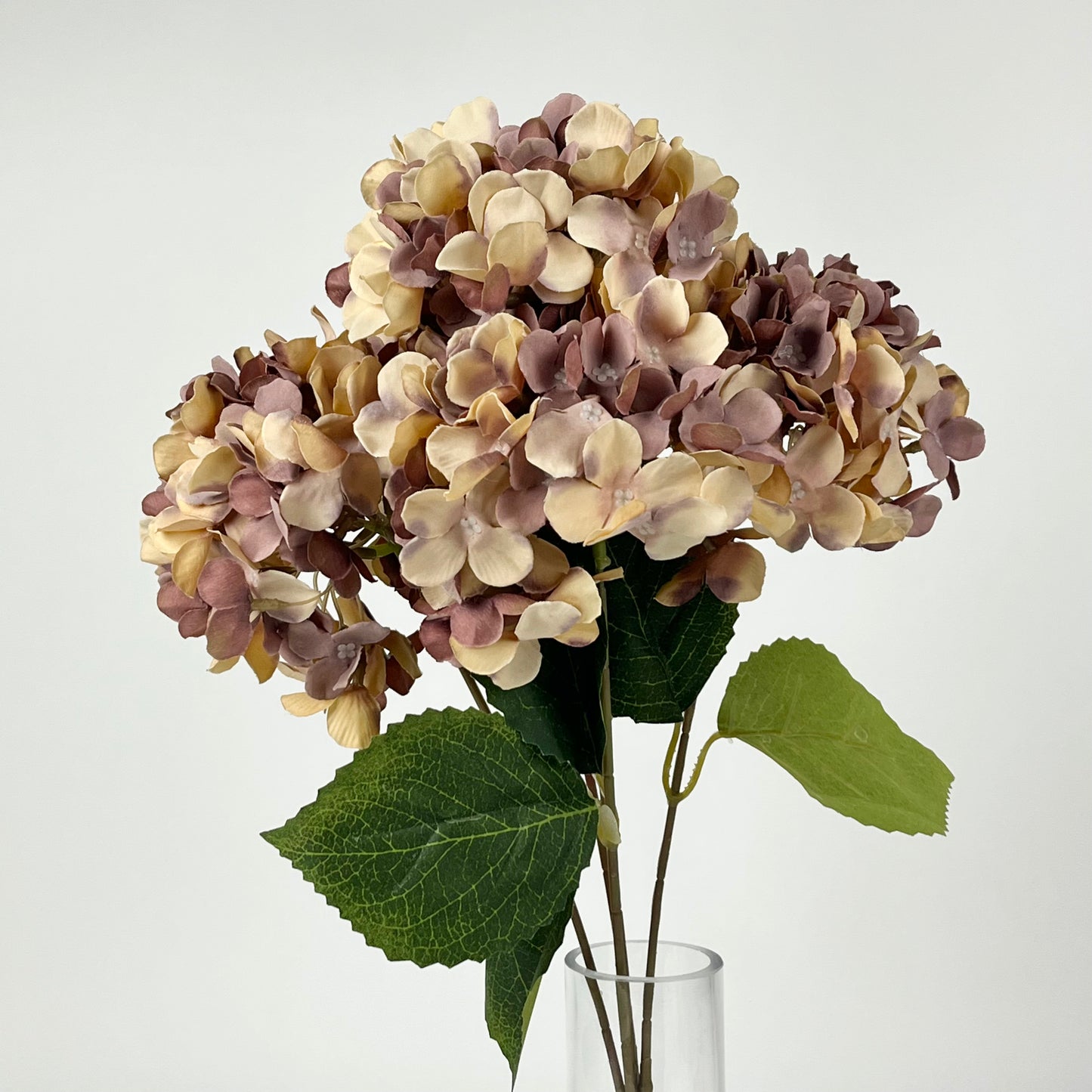 0047-15 Hydrangea