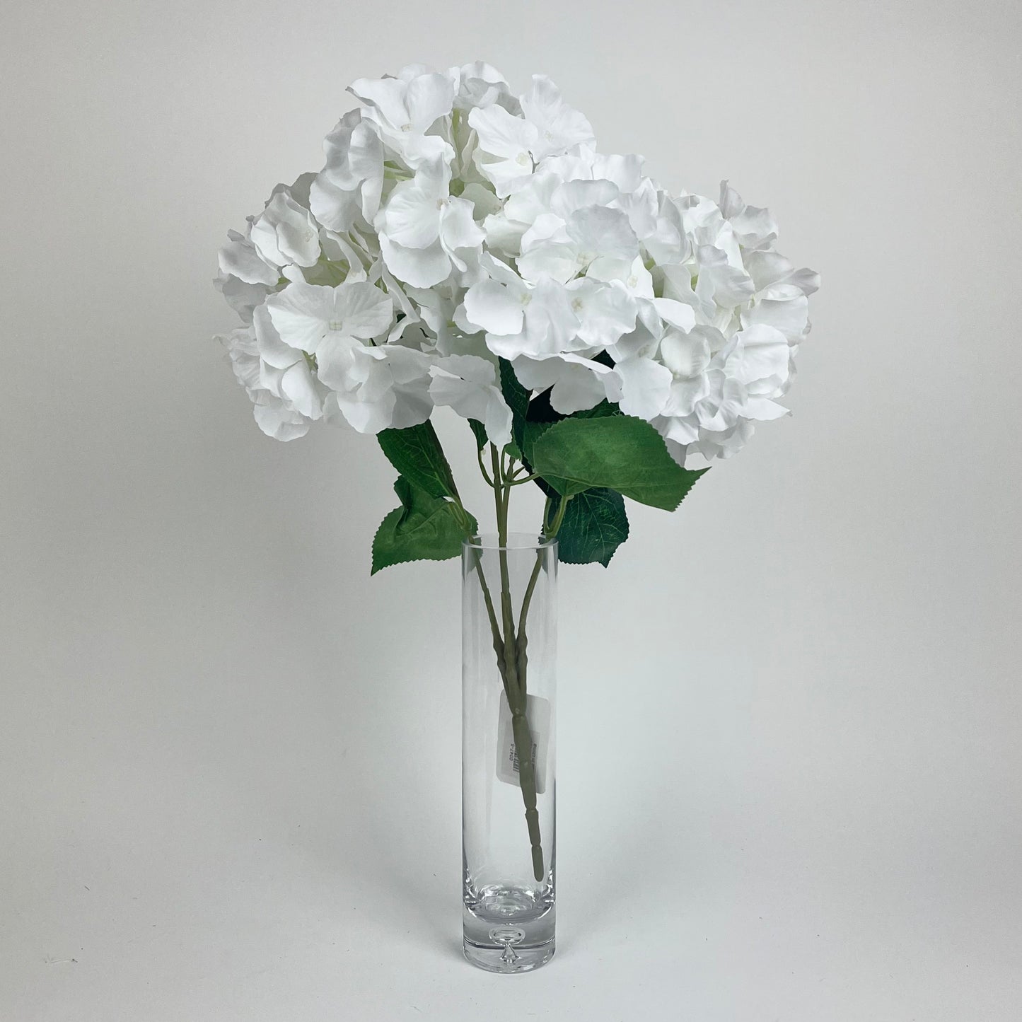 0047-5 Hydrangea