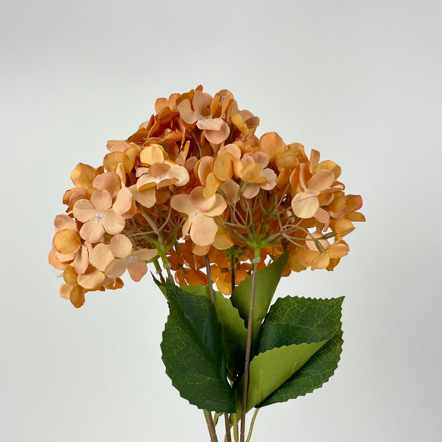 0047-15 Hydrangea