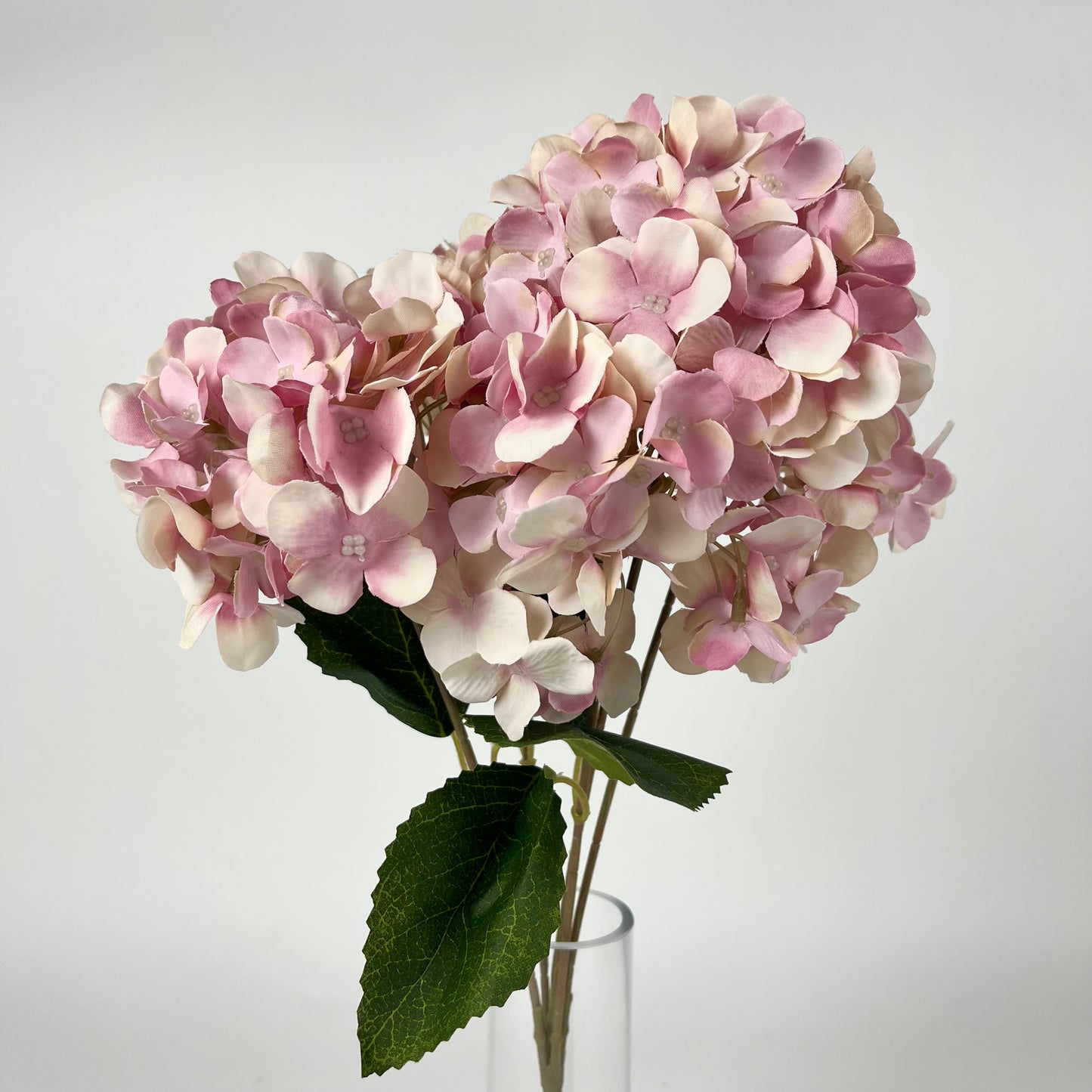 0047-15 Hydrangea